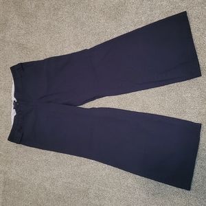 Lands End pants